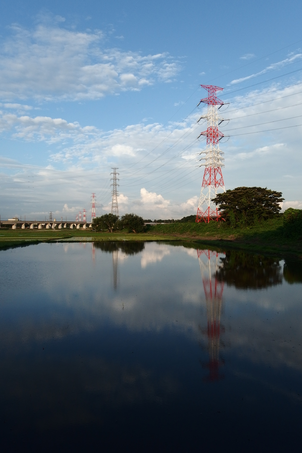 2015/06/21_水田に雲と鉄塔