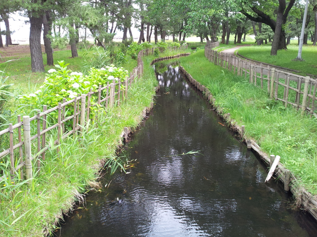 2018/07/16_合浦公園の小川