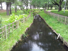2018/07/16_合浦公園の小川