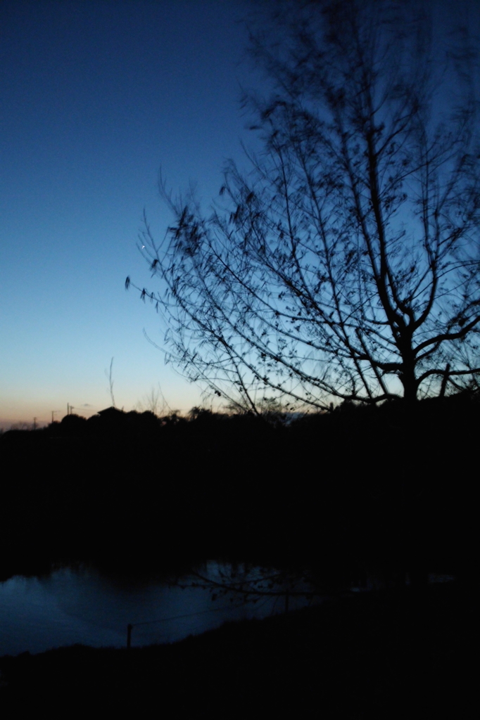 2015/02/15_夕暮れの秋葉の森総合公園