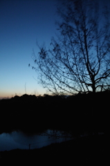 2015/02/15_夕暮れの秋葉の森総合公園