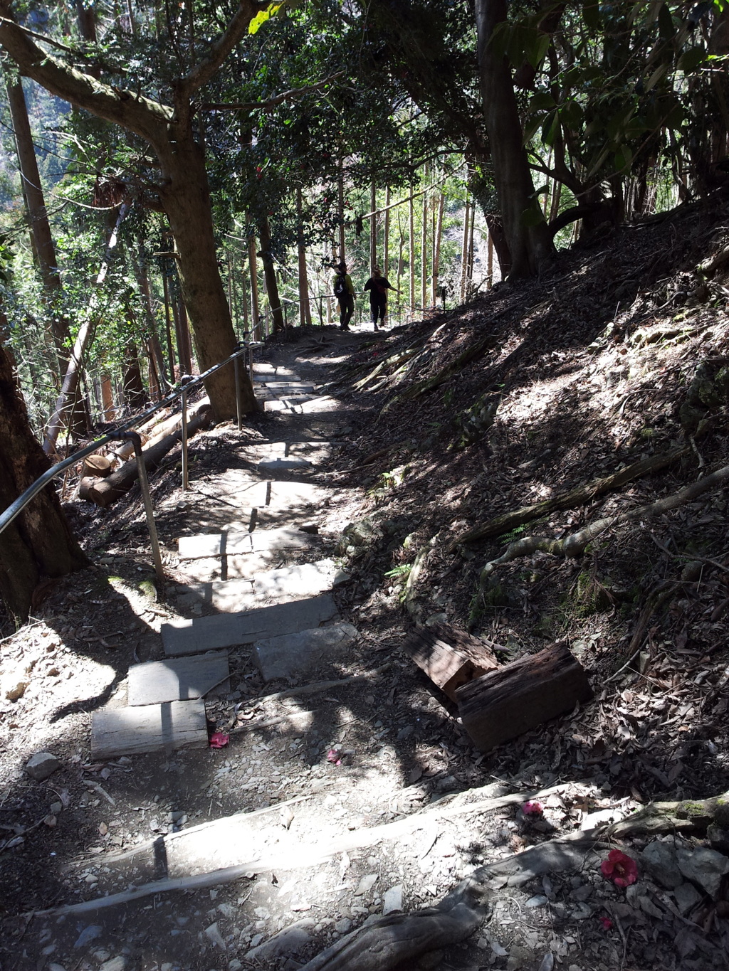 2019/04/13_鞍馬寺 奥の院参道