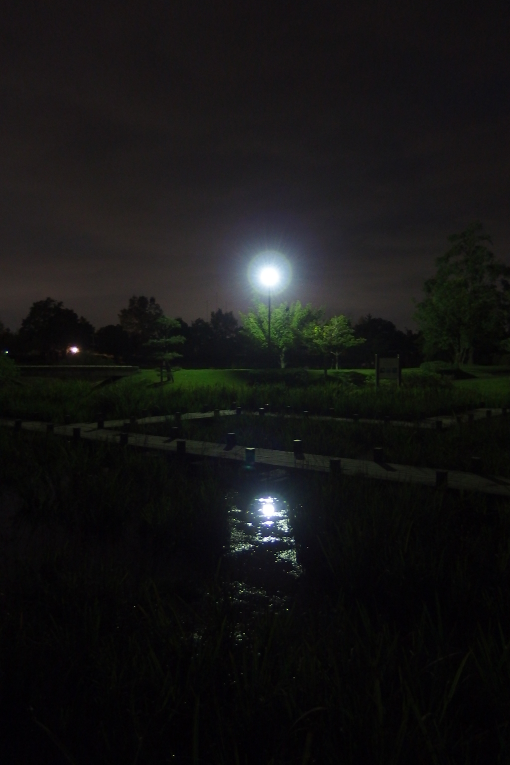 2015/10/04_夕暮れの平成の森公園