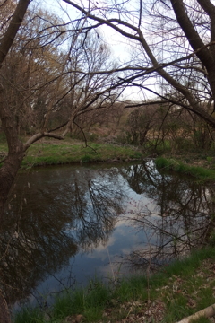2016/03/26_北本自然観察公園