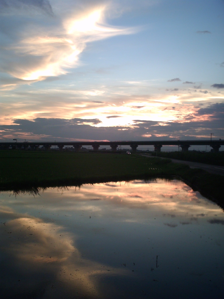 2015/07/19_水田の夕暮れ