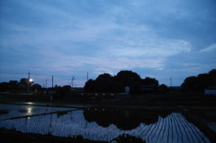 2014/06/22_夕暮れの鶏舎