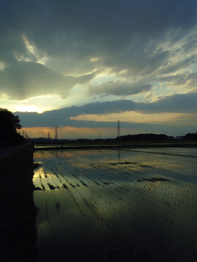2017/06/10_水田の夕暮れ