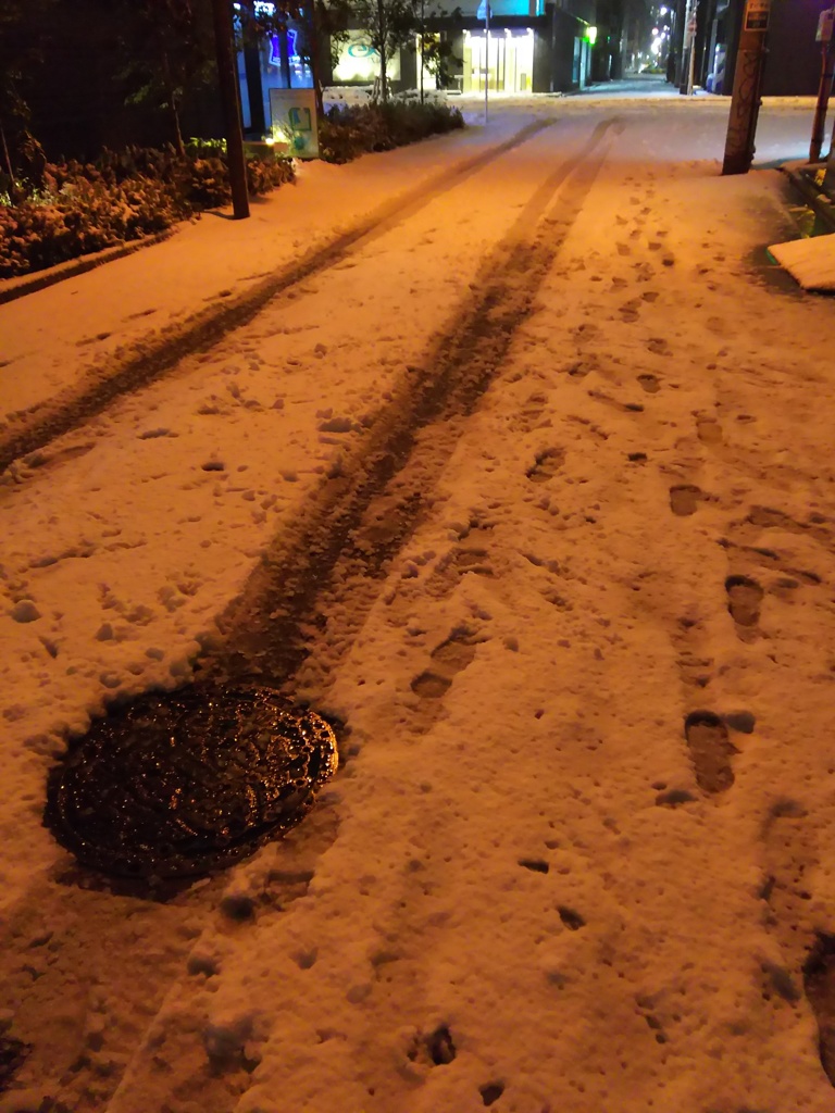 2018/01/22_都内の雪の夜