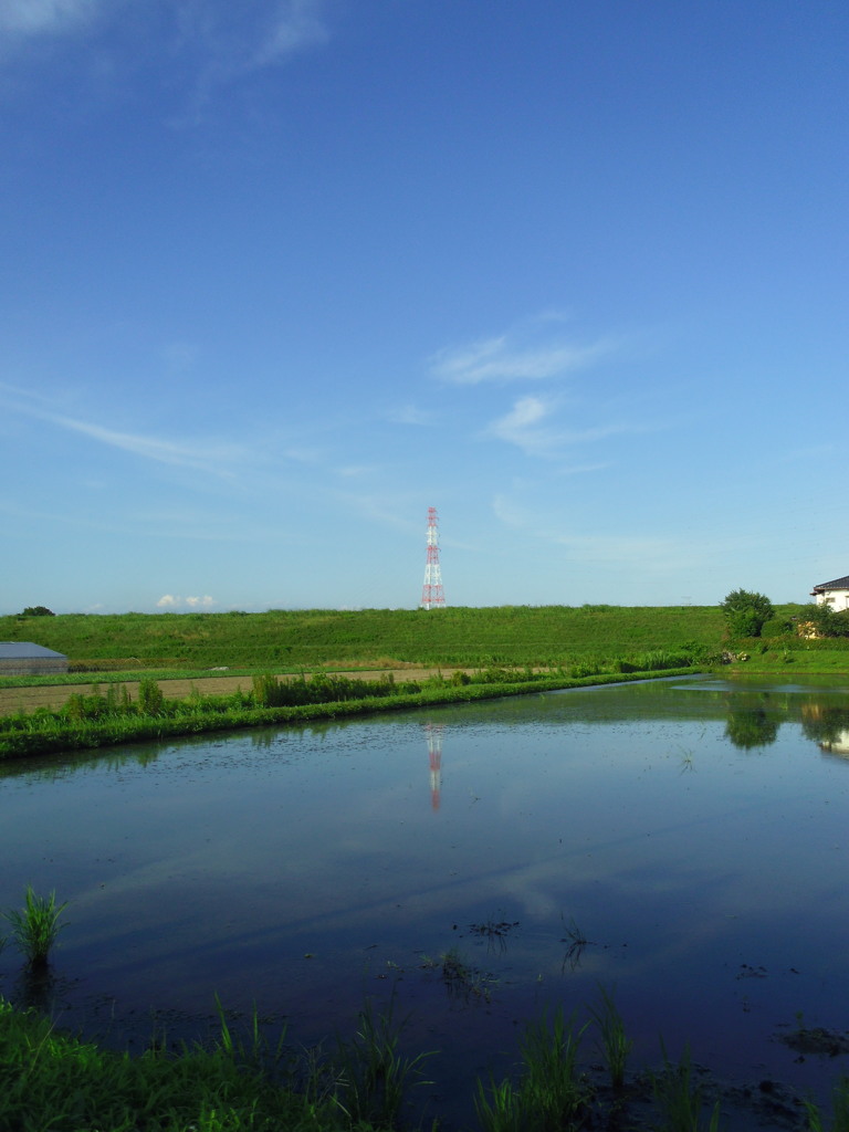2016/07/10_水田に空