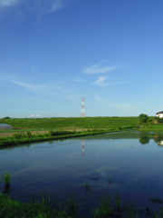 2016/07/10_水田に空