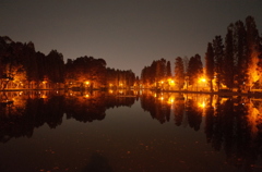 2014/11/24_夜の別所沼公園