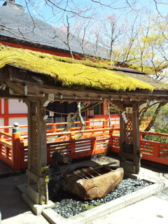 2019/04/13_鞍馬寺 手水舎
