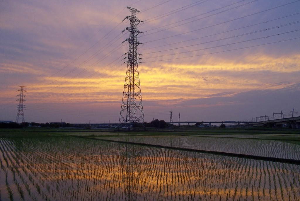 2015/06/14_水田の夕暮れ、天使の梯子