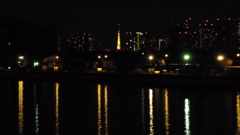 2014/01/01_若洲からの夜景（東京タワー）