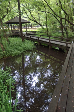 2015/07/05_伊奈町制施行記念公園