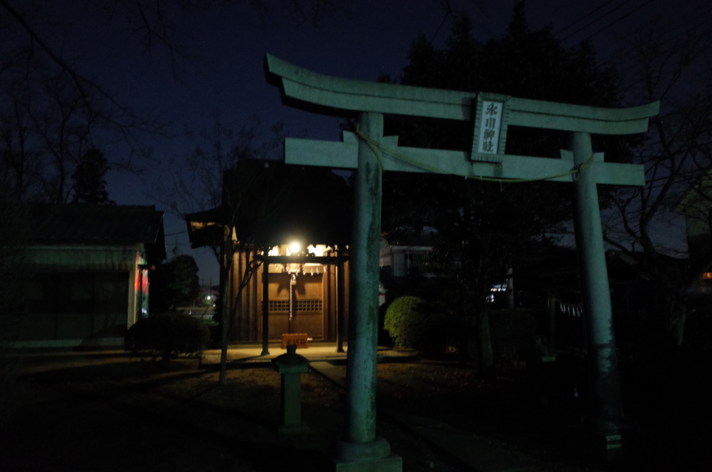 2015/01/24_夜の氷川神社