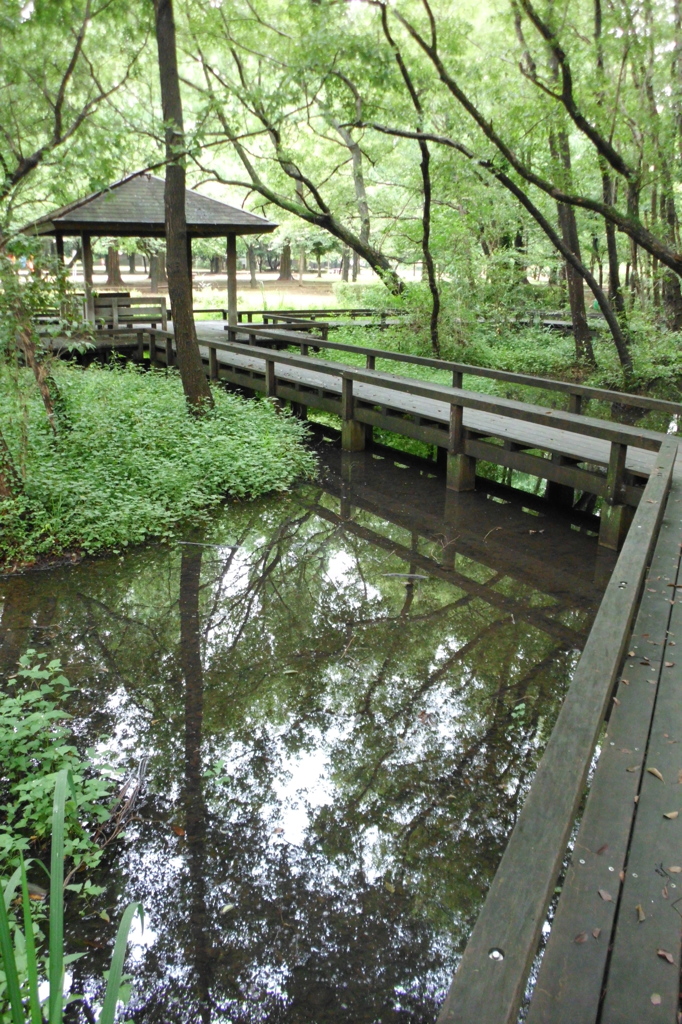 2015/07/05_伊奈町制施行記念公園