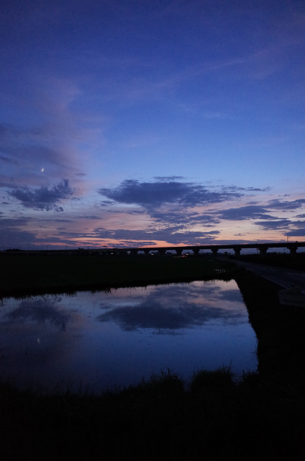 2015/07/19_水田の夕暮れ