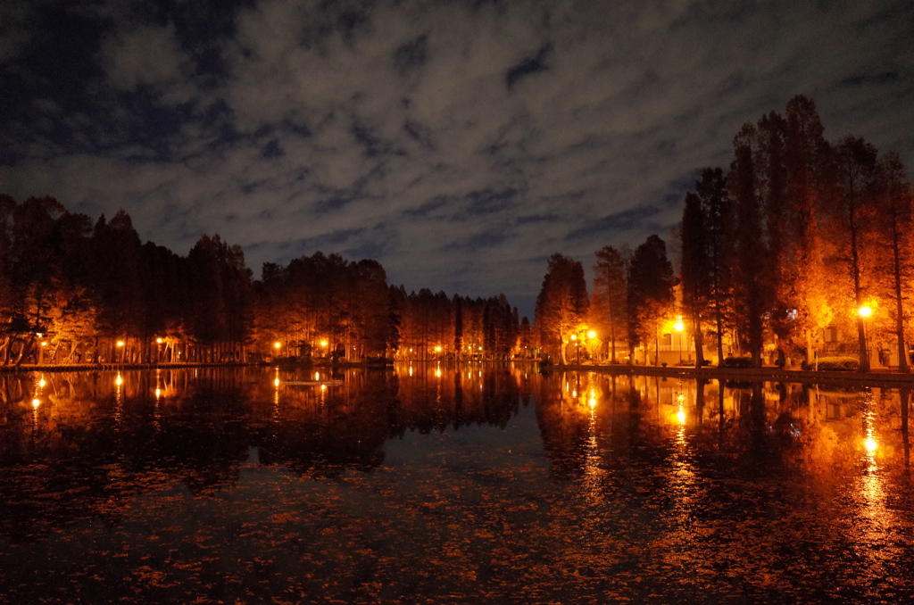 2014/12/07_夕暮れの別所沼公園