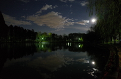 2014/12/06_月夜の北本総合公園