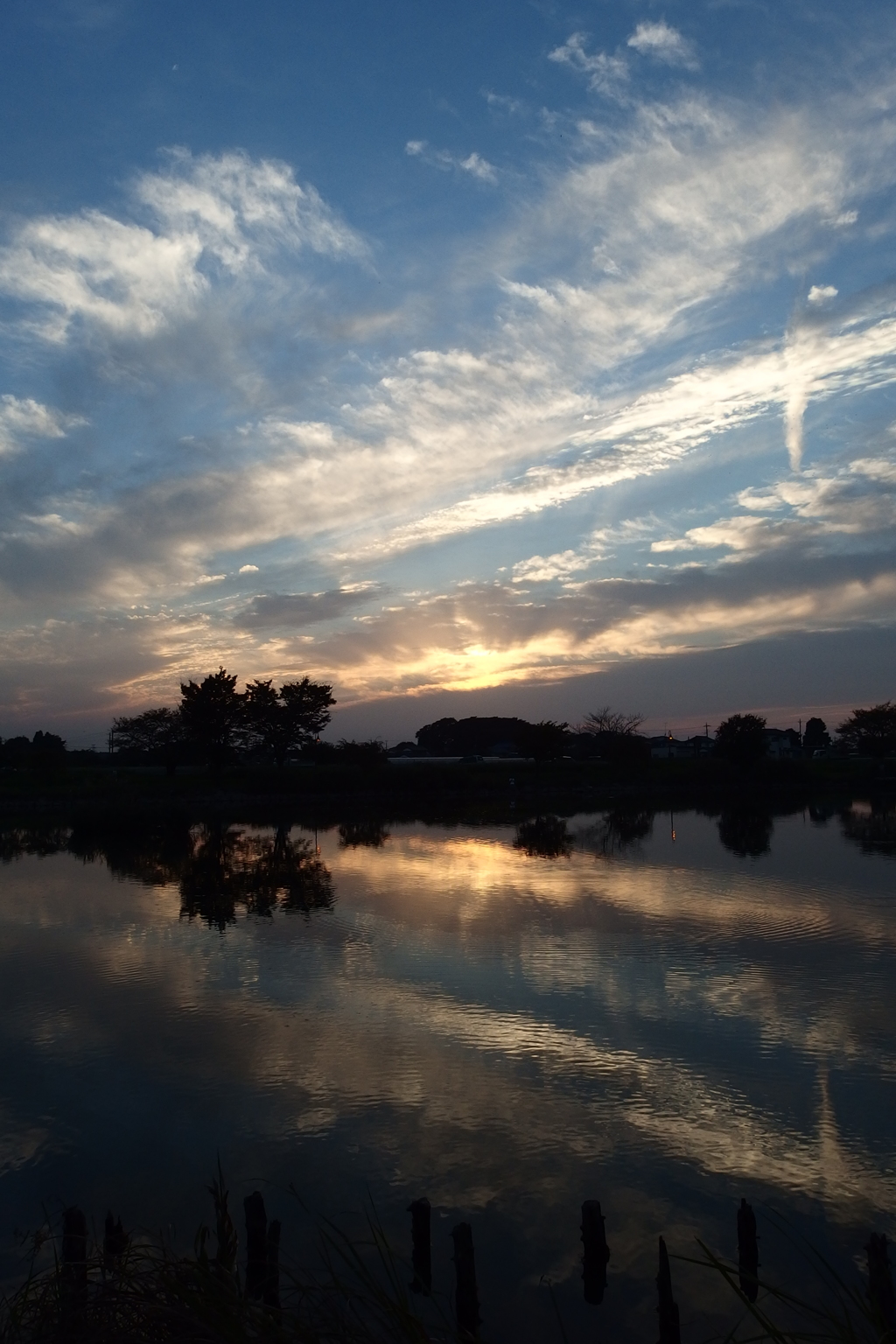 2015/10/03_柴山沼の夕暮れ