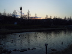 2017/04/02_花の丘農林公苑の夕暮れ