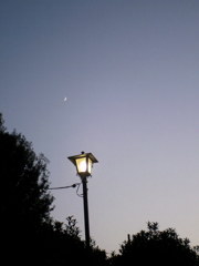 2015/10/18_伊奈バラ園の街灯と月