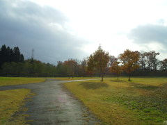 2016/11/13_三内丸山遺跡 ピクニック広場への道