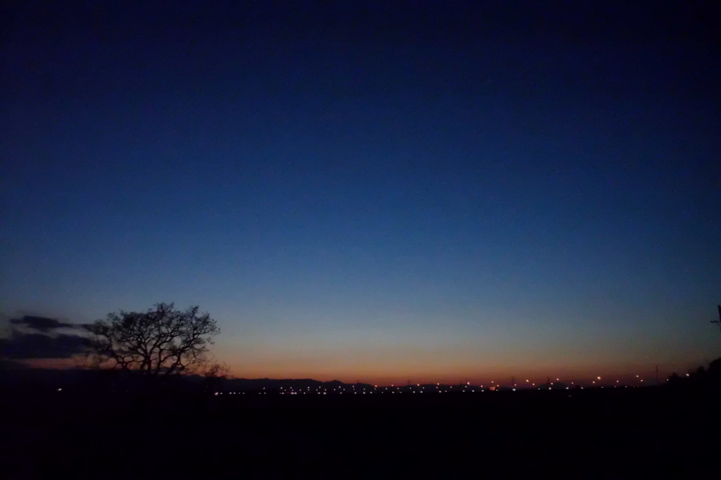 2014/03/22_夕暮れの木と太郎右衛門橋