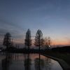 2014/12/28_川里中央公園の夕暮れ