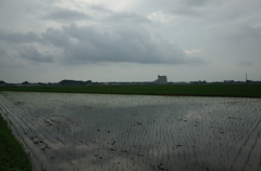 2015/07/05_水田に曇天