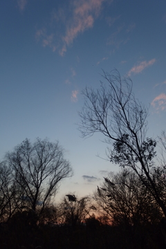 2015/12/31_夕暮れ