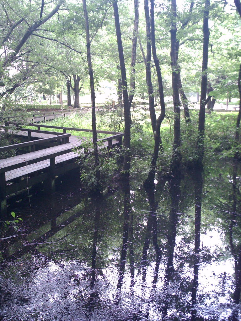2015/07/05_伊奈町制施行記念公園