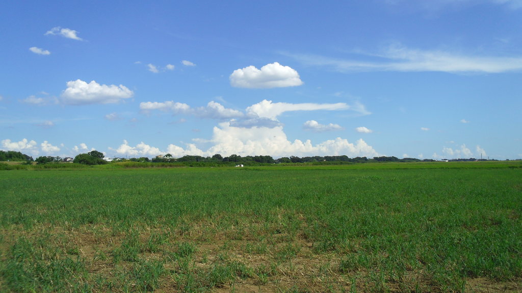 2012/09/09_荒川河川敷