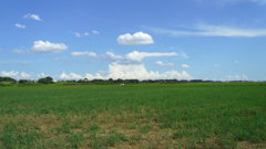 2012/09/09_荒川河川敷