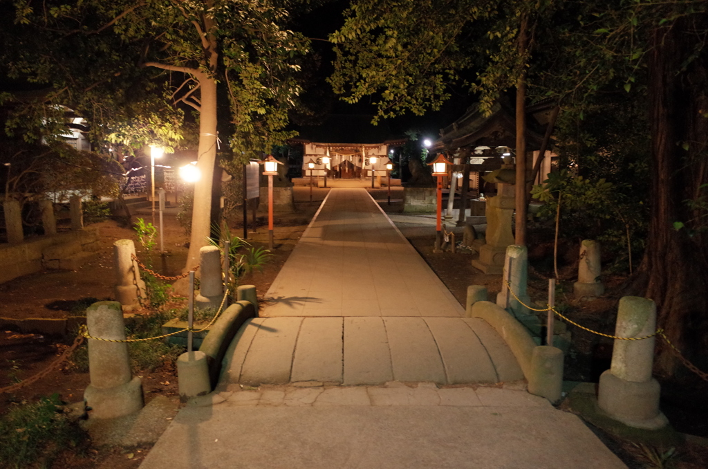 2015/01/01_夜の伊奈氷川神社