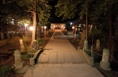 2015/01/01_夜の伊奈氷川神社