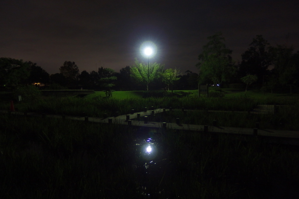 2015/10/04_夕暮れの平成の森公園