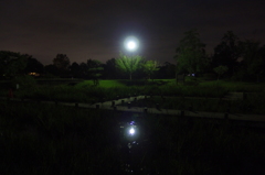 2015/10/04_夕暮れの平成の森公園