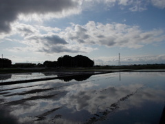 2017/05/14_水田に雲