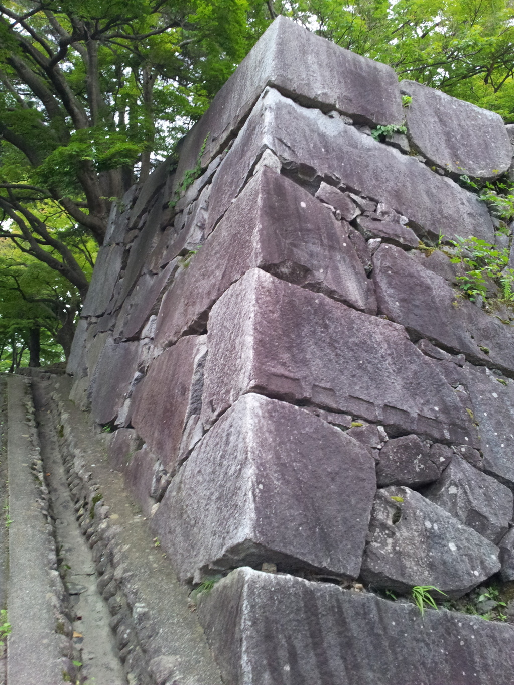 2016/07/16_盛岡城跡公園（岩手公園）石垣
