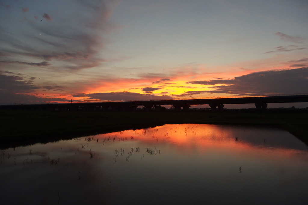 2015/07/19_水田の夕暮れ