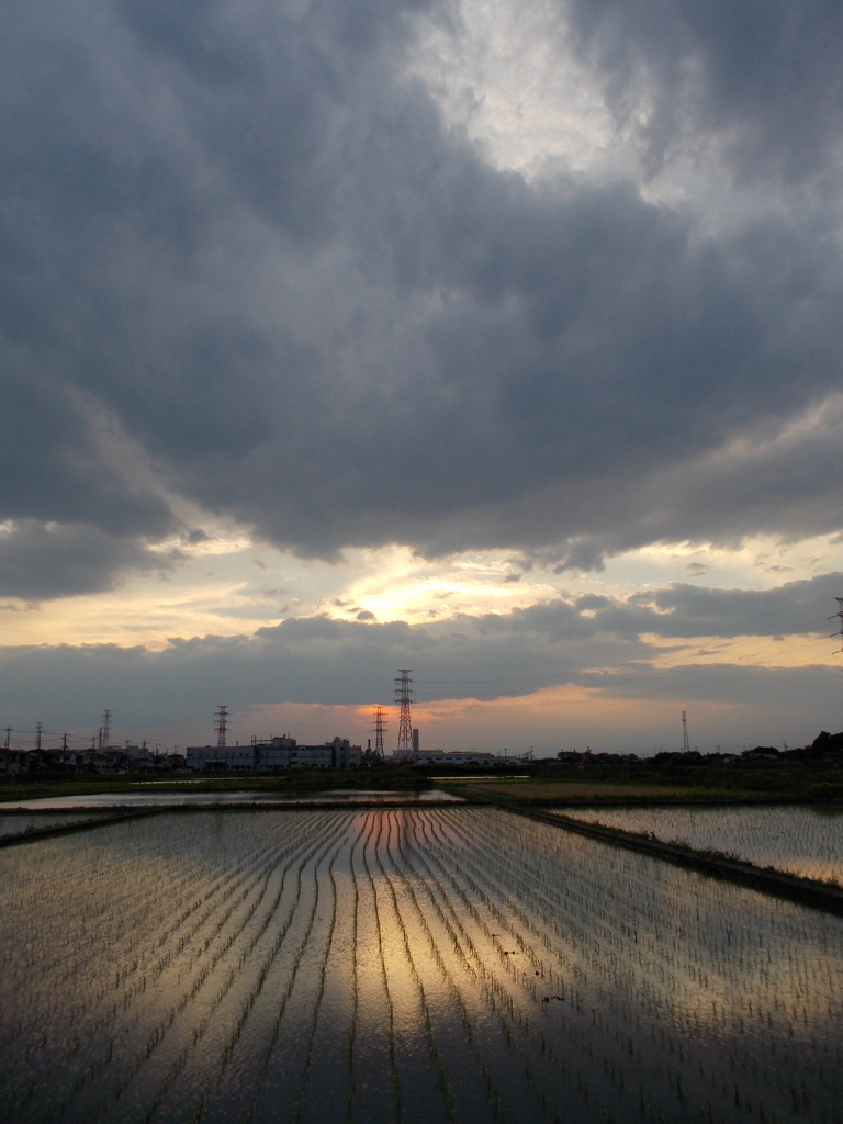 2017/06/10_水田の夕暮れ