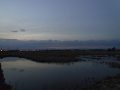 2017/02/26_溜め池の夕暮れ