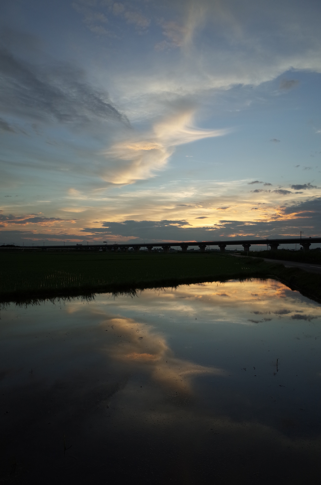 2015/07/19_水田の夕暮れ