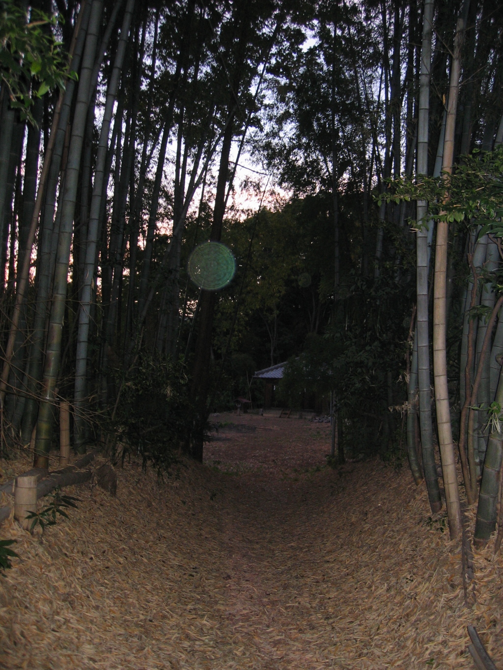 2017/05/06_夕暮れの頭殿神社