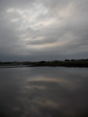 2017/05/27_水田の曇天