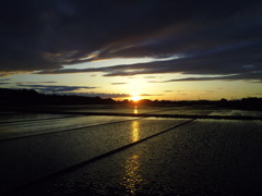 2017/06/04_水田の夕暮れ