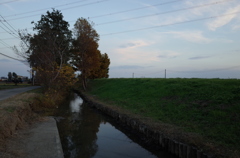 2014/11/23_夕暮れの小川