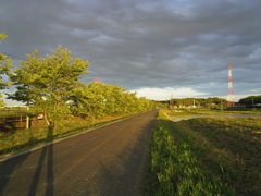 2017/06/04_西日を浴びる田園の道